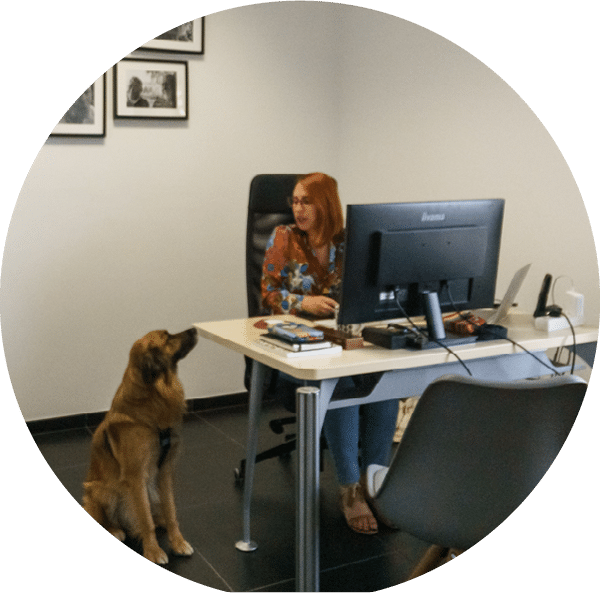 Bureau_La Brenne Box