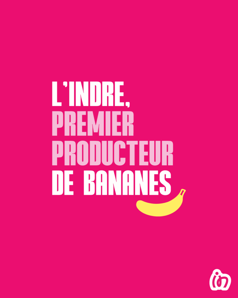 L'Indre premier producteur de bananes