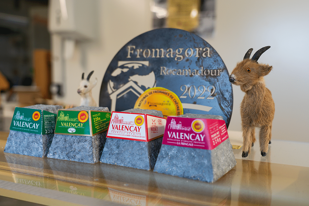 Visite de fromagerie de Valençay