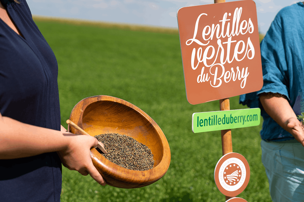 Lentilles vertes du Berry