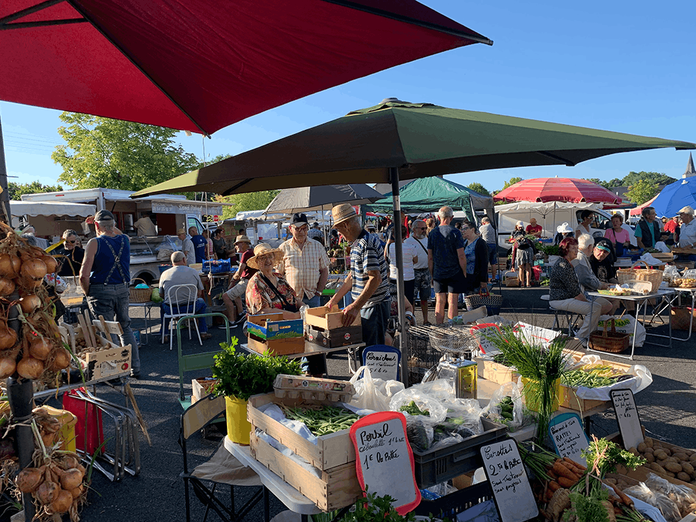 Visite du marché de Saint Août (1)
