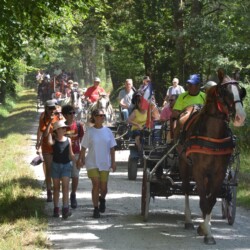 randonnee de la Brenne attelage